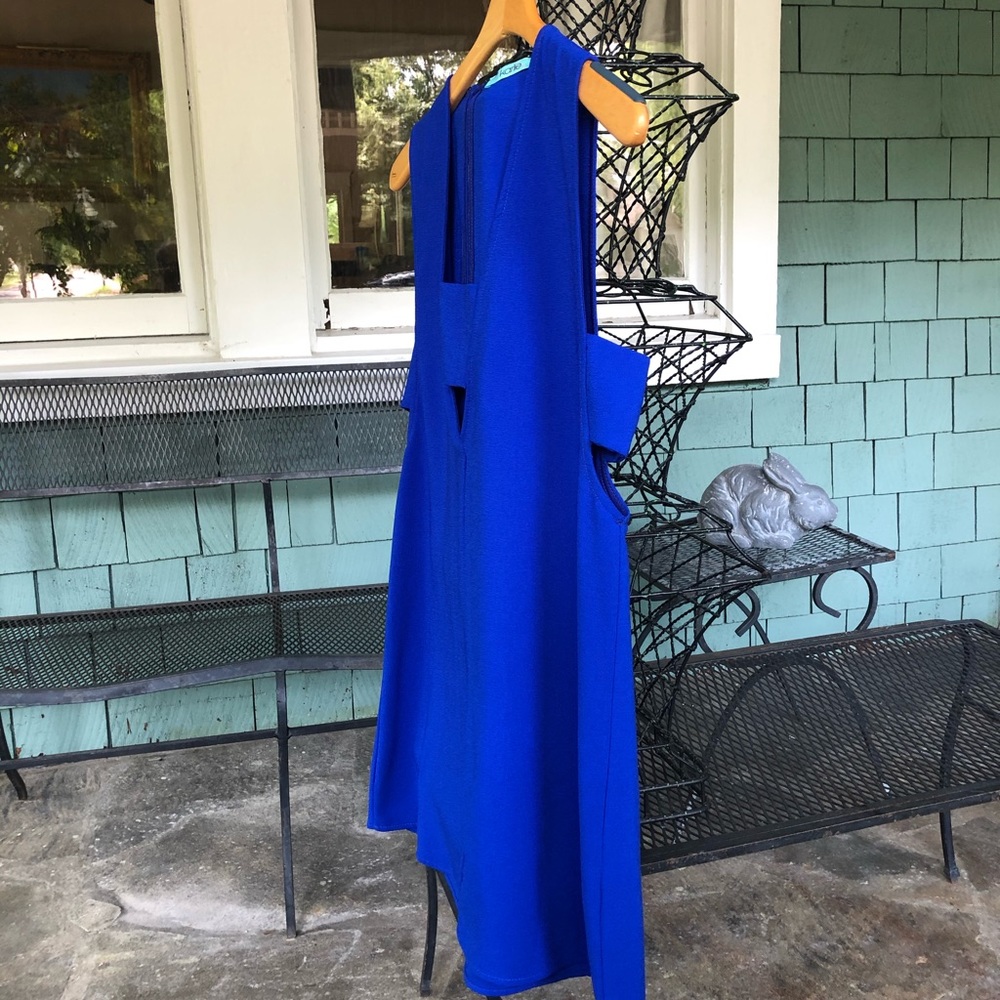 Karlie Mini Dress - Picture 3 of 4